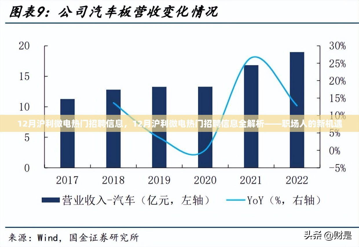 12月沪利微电热门招聘信息全解析，职场人的新机遇