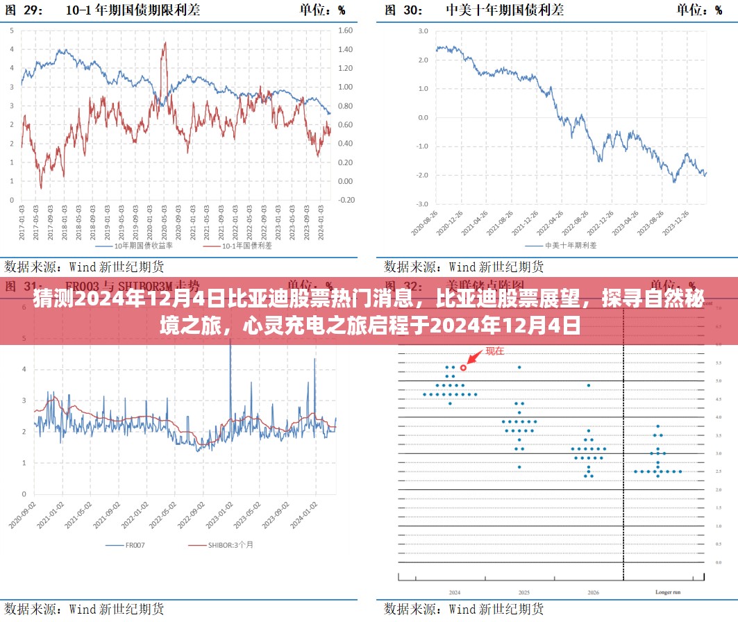 2024年12月8日 第10页