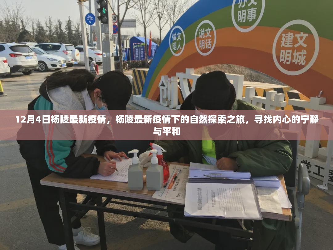 杨陵最新疫情下的自然探索之旅，寻找内心的宁静与平和