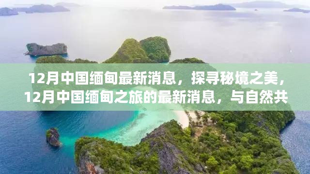 探寻秘境之美，揭秘中国缅甸之旅最新消息，与自然共舞的心灵之旅（12月版）