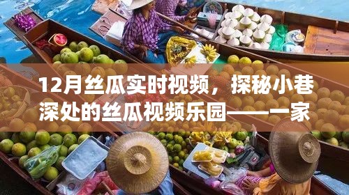 12月丝瓜实时视频，探秘小巷深处的丝瓜视频乐园——一家隐藏版丝瓜美食体验馆