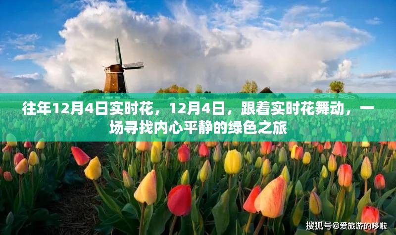 12月4日实时花舞动，绿色之旅寻找内心平静之旅