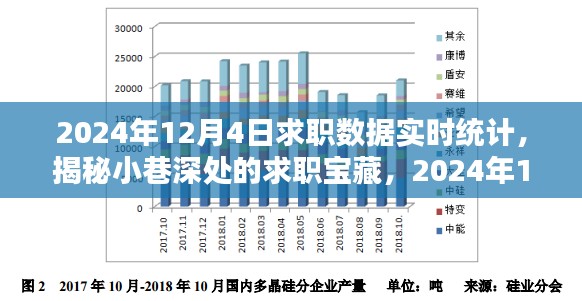 揭秘小巷深处的求职宝藏，2024年求职数据实时统计大解密