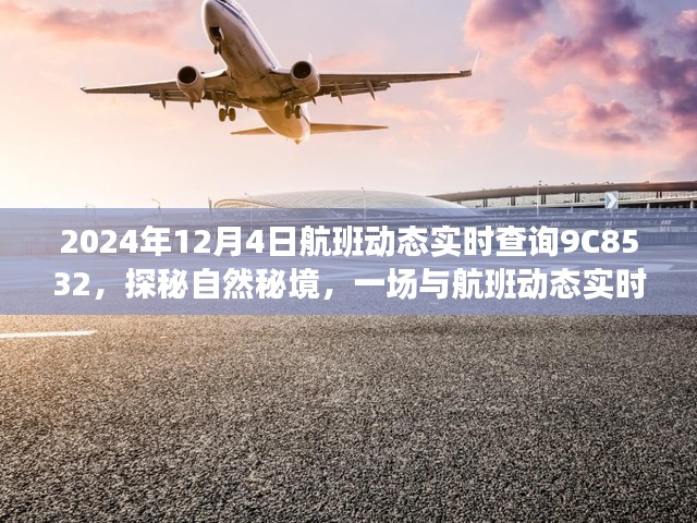 2024年12月4日航班动态实时查询9C8532，探秘自然秘境，一场与航班动态实时查询9C8532的奇妙之旅