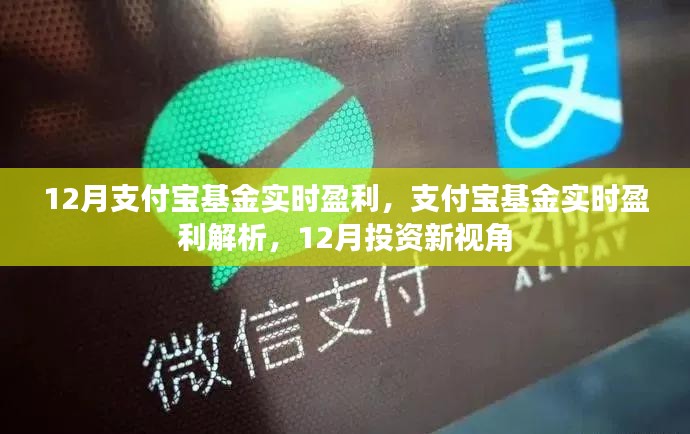 支付宝基金实时盈利解析，12月投资新视角