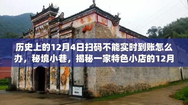 秘境小巷，特色小店遭遇扫码延迟到账的奇遇与解决之道