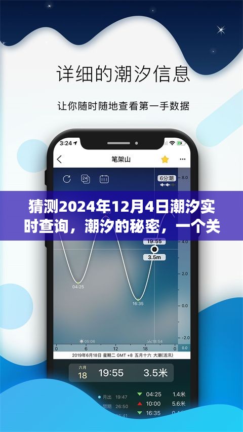 潮汐的秘密，友情、家庭与未来的温馨故事，潮汐实时查询预测（2024年12月4日）