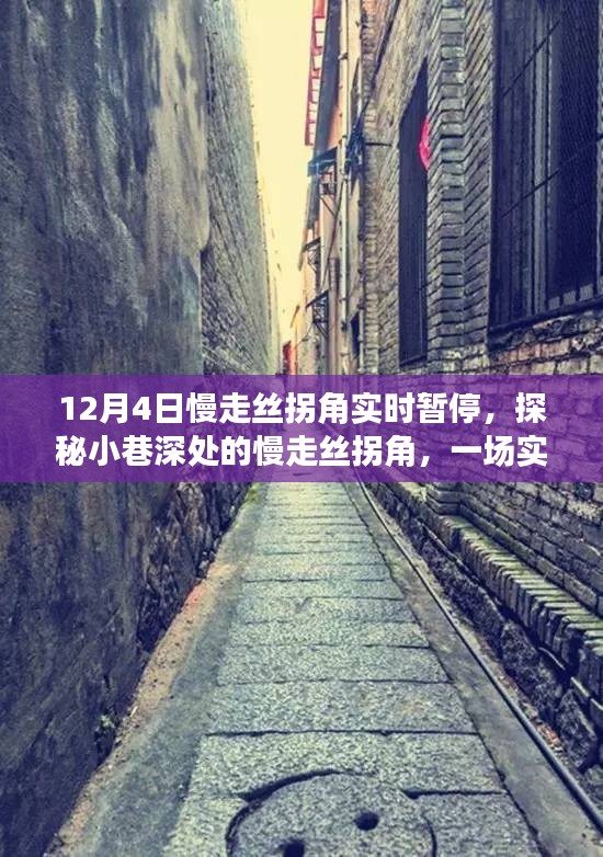 探秘慢走丝拐角，实时暂停的奇妙邂逅之旅