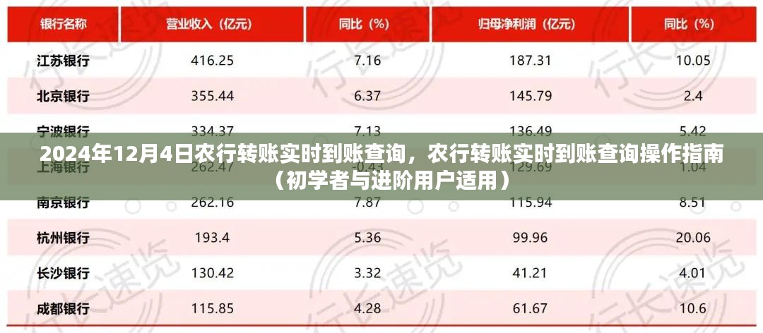 农行转账实时到账查询操作指南，初学者与进阶用户适用（2024年12月4日版）