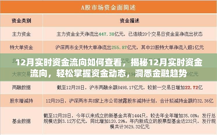 揭秘12月资金流向动态，掌握资金动态，洞悉金融趋势的实用指南