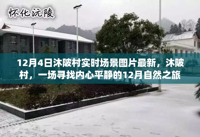 沐陂村自然之旅，寻找内心平静的十二月场景实拍