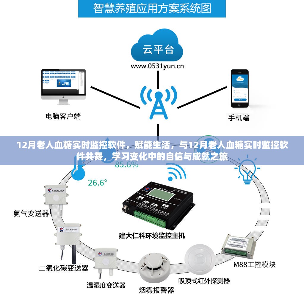 赋能生活，与血糖实时监控软件共舞，开启自信成就之旅