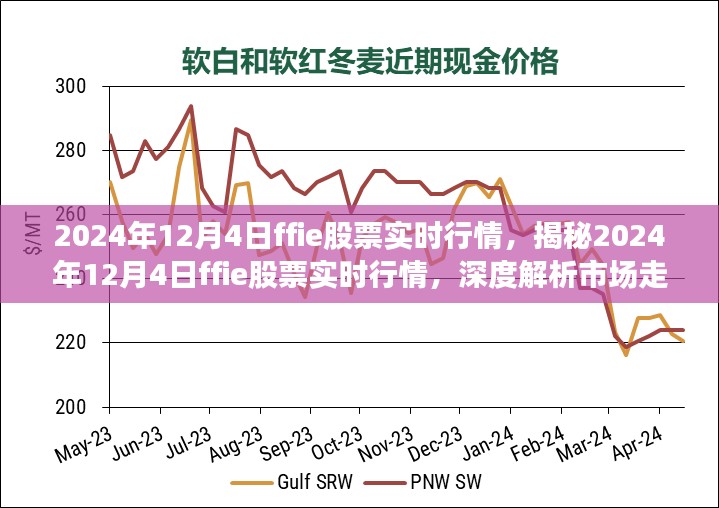 2024年12月10日 第31页