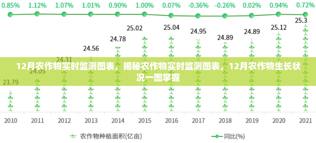 揭秘农作物生长状况，12月实时监测图表一图掌握农作物生长状况