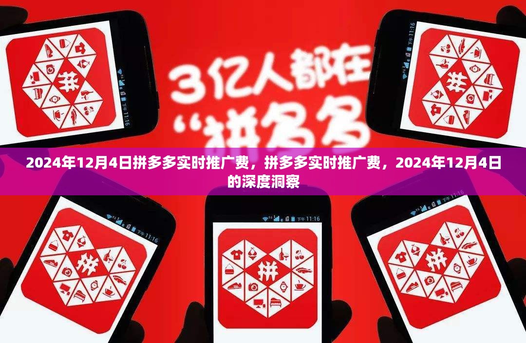 2024年12月4日拼多多实时推广费深度洞察