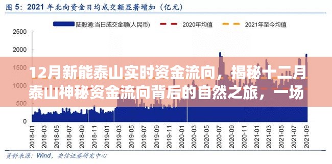 揭秘十二月泰山资金流向背后的神秘之旅，探寻内心平静的探险之旅