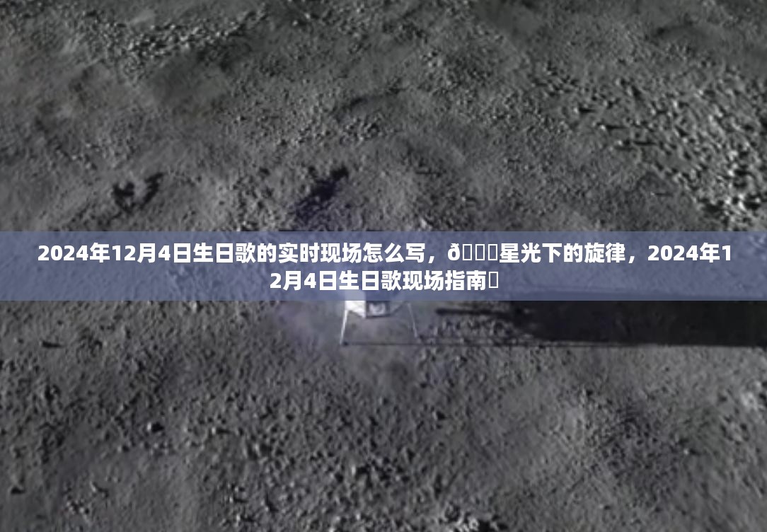 星光下的旋律，2024年12月4日生日歌实时现场指南