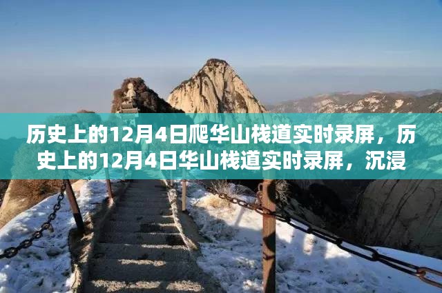 沉浸式体验与全面评测，历史上的12月4日华山栈道实时录屏之旅