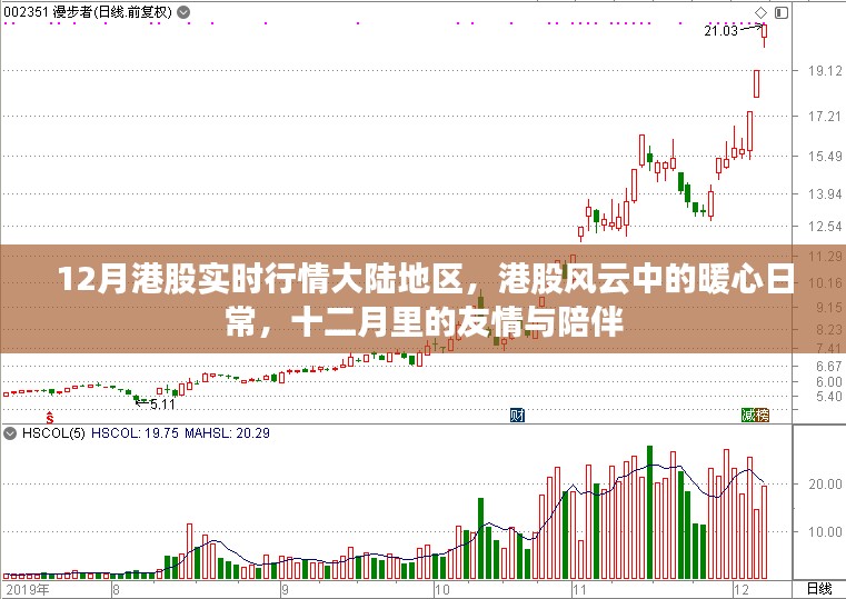 12月港股行情，暖心日常与友情陪伴的港股风云