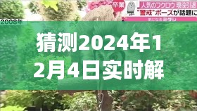 叶开赶牛，友情、家庭与未来的温馨预言 2024年12月4日实时解盘