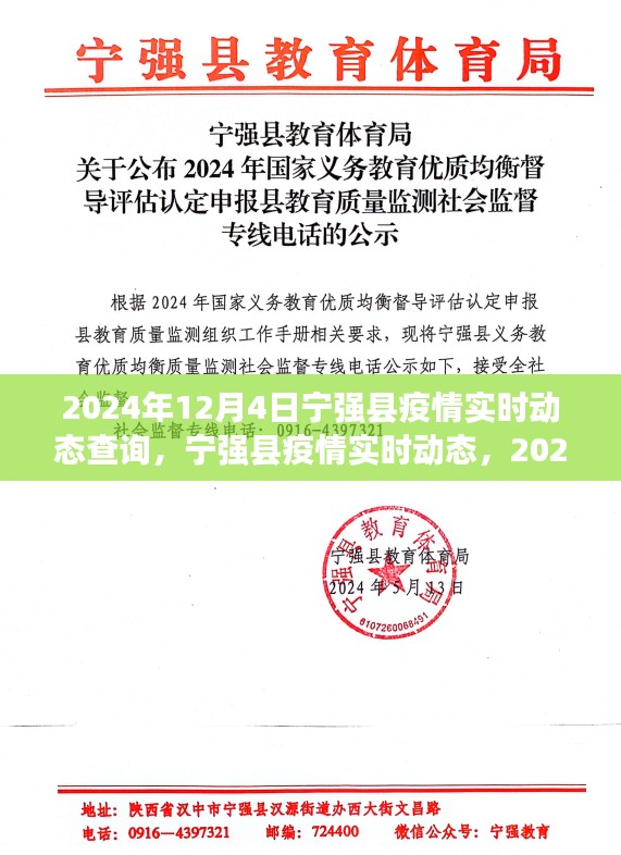 2024年12月4日宁强县疫情实时动态回顾与洞察