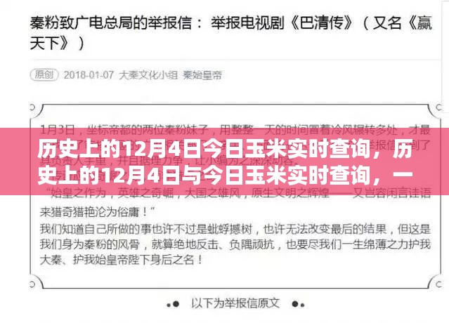 历史上的12月4日，今日玉米实时查询与技能掌握指南