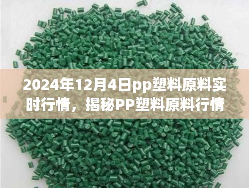 揭秘PP塑料原料行情，聚焦实时市场走势分析（2024年12月4日）