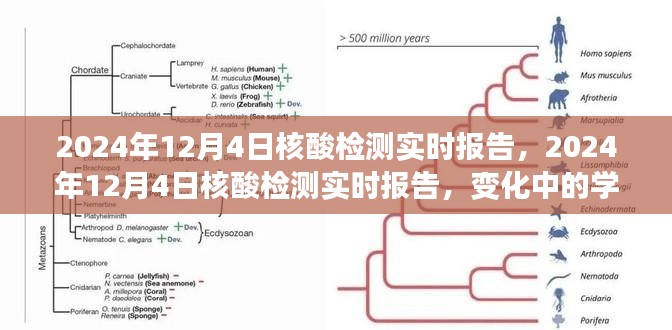 核酸检测实时报告，学习变迁中的信心与成就光辉之路