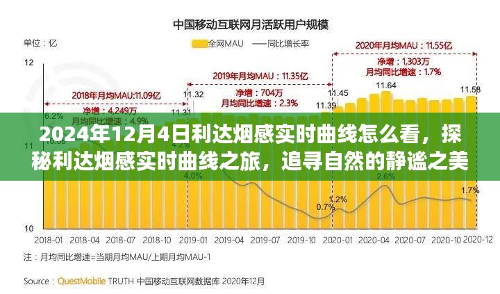 探秘利达烟感实时曲线，如何解读2024年12月4日的烟感数据之旅，追寻自然静谧之美