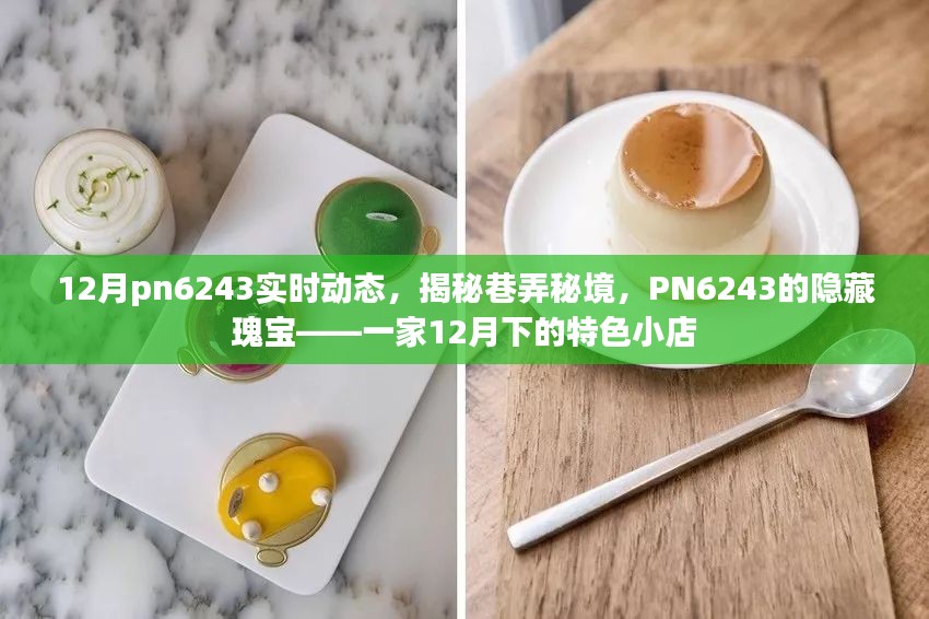 揭秘PN6243巷弄秘境，特色小店的隐藏瑰宝——十二月下的实时动态