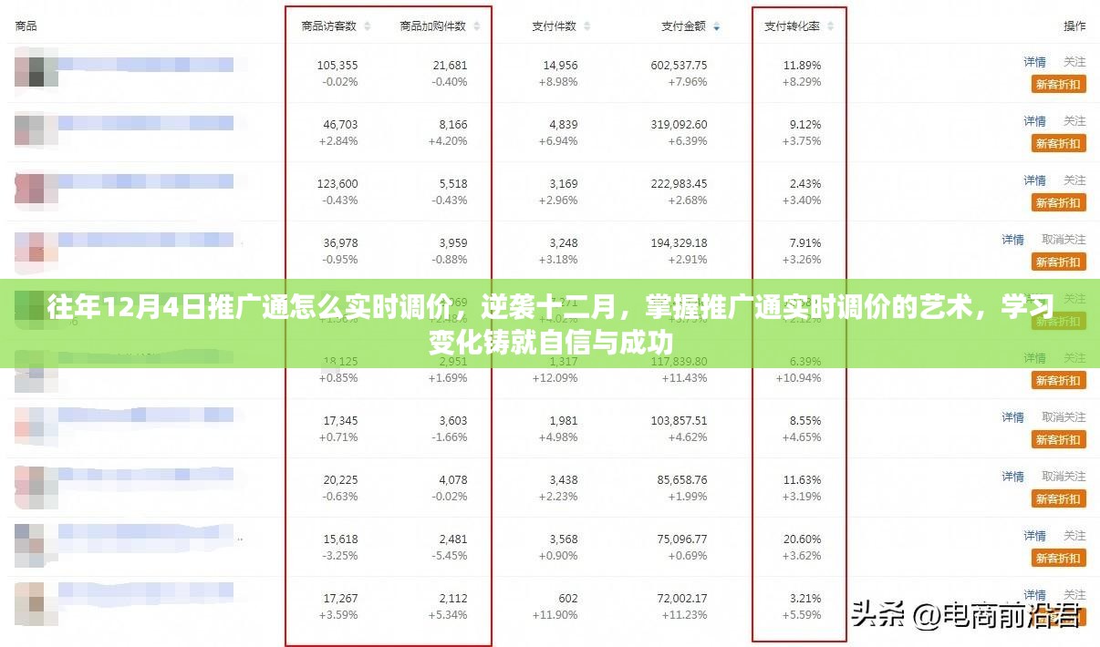 掌握推广通实时调价技巧，逆袭十二月的策略与自信铸就成功之路