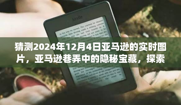 探索未来，亚马逊巷弄隐秘宝藏的实时图片之旅（2024年12月4日）