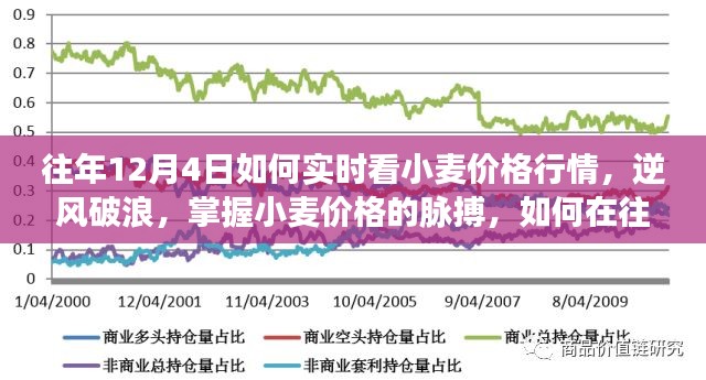 往年12月4日小麦价格行情实时掌握，逆风破浪的励志之旅开启！