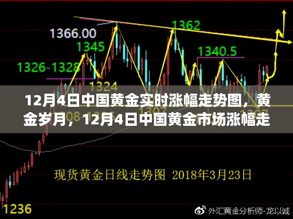 2024年12月11日 第2页