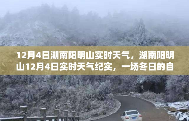 湖南阳明山冬日纪实，12月4日实时天气与自然交响的邂逅