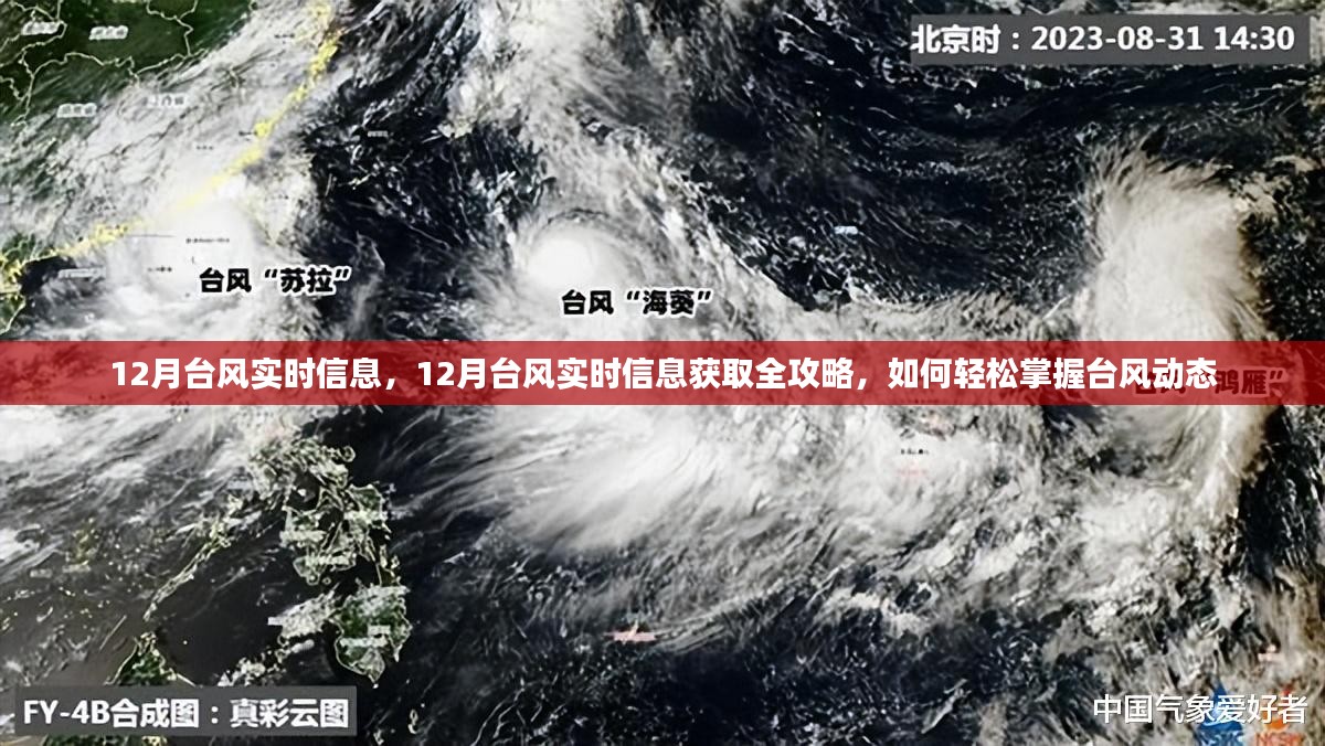 12月台风实时信息获取攻略，轻松掌握台风动态全指南