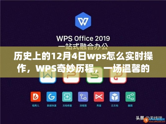 WPS实时操作之旅，历史上的12月4日与奇妙历程回顾