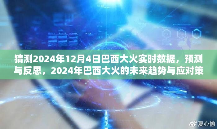 2024年巴西大火预测与反思，实时数据、未来趋势及应对策略