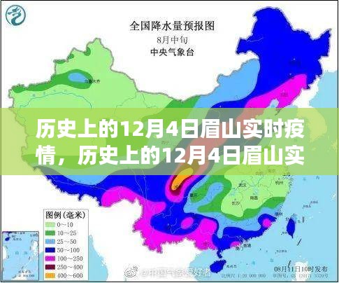 历史上的12月4日眉山实时疫情深度分析与观点阐述