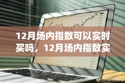 12月场内指数实时交易指南，如何把握投资机会与注意事项