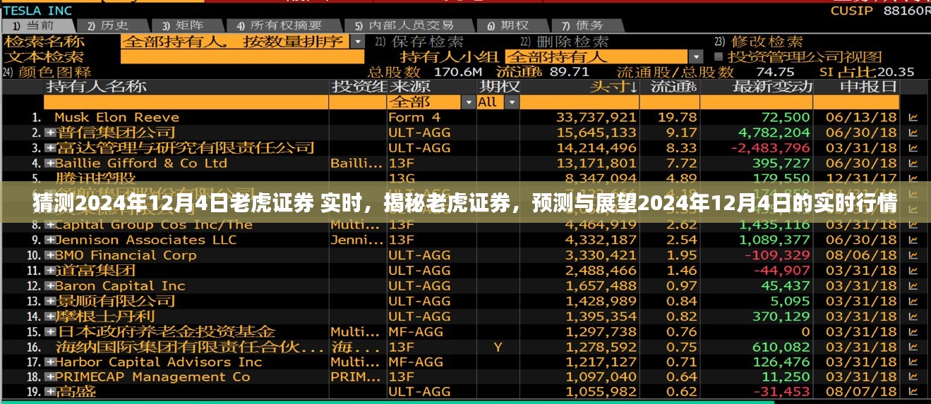 揭秘老虎证券，预测与展望2024年12月4日实时行情动态