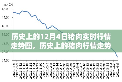 猪肉行情走势图解析，掌握实时行情走势图的制作步骤与12月4日历史行情回顾