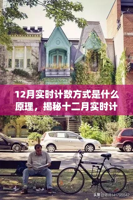 揭秘十二月实时计数方式的奇妙之旅，与自然共舞，探寻内心平和宁静的原理之旅