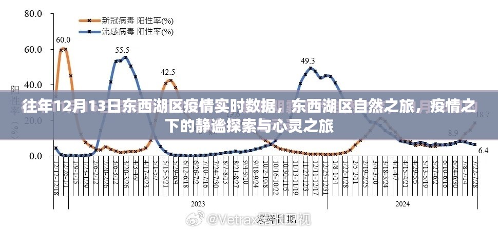 东西湖区疫情实时数据与静谧的自然探索之旅，疫情之下的心灵之旅纪实