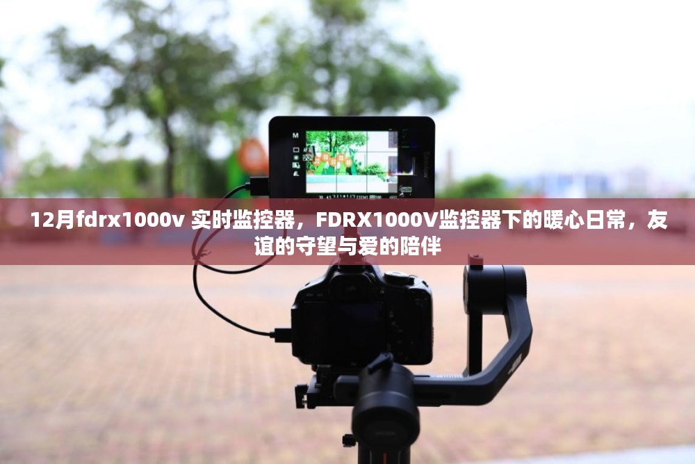 FDRX1000V监控器的暖心日常，友谊的守望与爱的陪伴