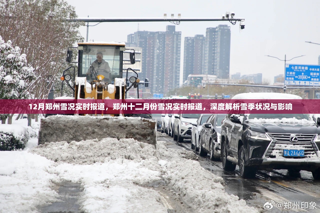 郑州雪季深度解析，雪况实时报道与影响探讨