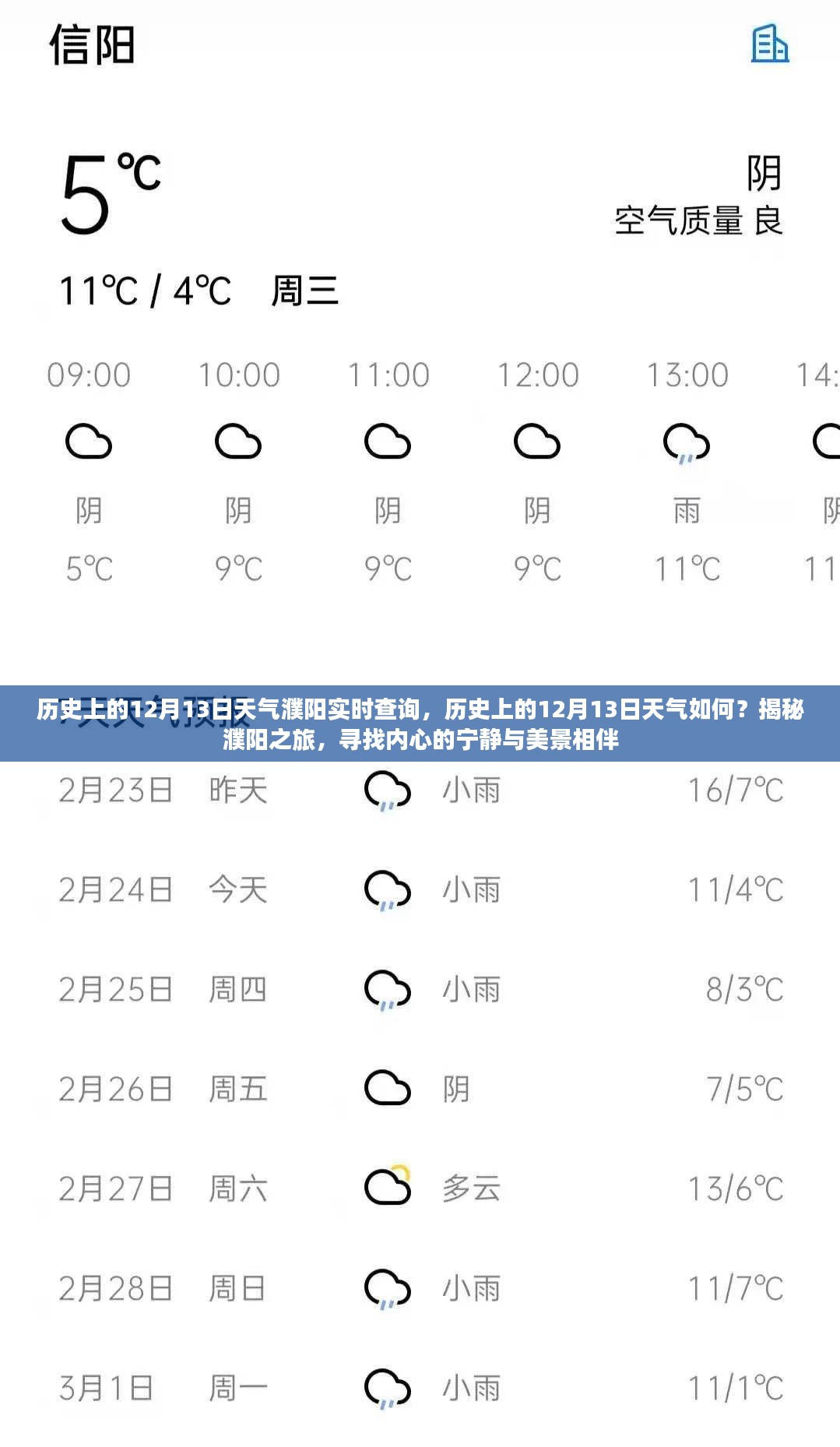 2024年12月15日 第10页