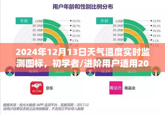 初学者到进阶用户适用的天气温度实时监测图表制作全攻略，2024年12月13日天气数据解读