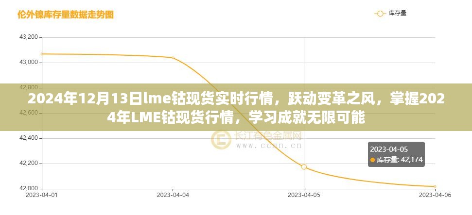 跃动变革之风，掌握LME钴现货行情，洞悉未来市场趋势学习成就无限可能（LME钴现货实时行情，2024年）