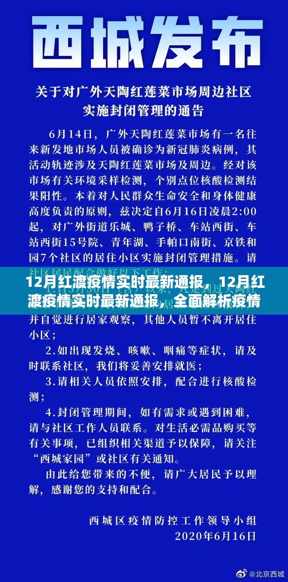 12月红渡疫情最新实时通报，全面解析现状与发展趋势